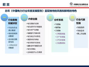 全球能源互联网推进 电力合作新亮点解锁又一高峰